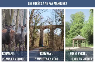 Animaux dans l'appartement ou à proximité