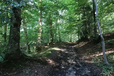 Paysage naturel près de la maison de vacances