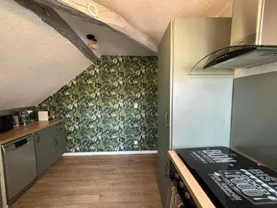 Cuisine ou kitchenette dans l'établissement Jungle Cosy