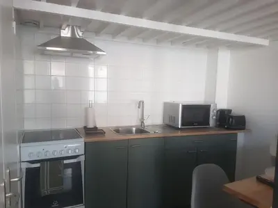 Cuisine ou kitchenette dans l'établissement Le Studio de la Seine