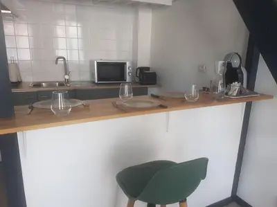 Cuisine ou kitchenette dans l'établissement Le Studio de la Seine