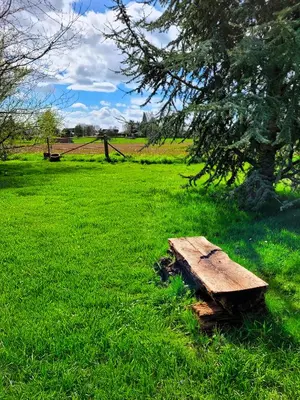 Jardin de l'établissement Villa en bois à la campagne - 20 min de Rouen
