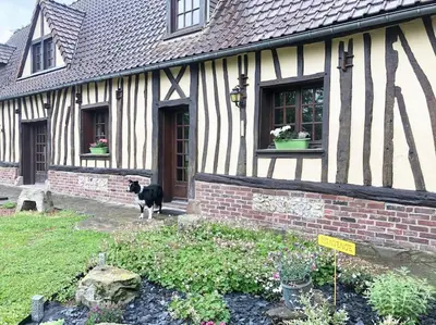 Animal ou animaux domestique(s) séjournant avec des clients dans l'établissement Gîte du petit pressoir près du Treport Baie de Somme classé 3 étoiles