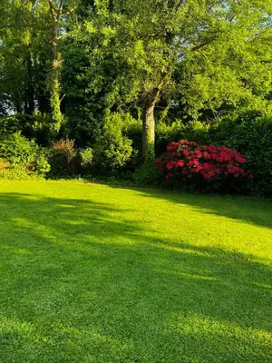 Jardin de l'établissement Suite avec salon privé 25m2 Wifi Netflix Duclair