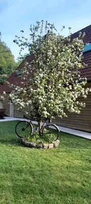 Jardin de l'établissement Maison charmante à Offranville avec grand jardin