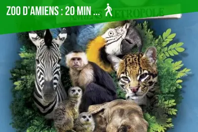 Animaux dans l'appartement ou à proximité