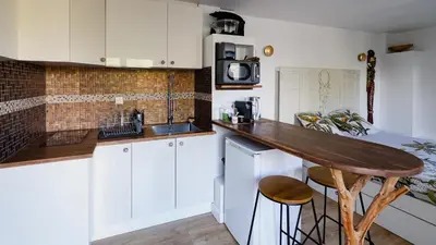Cuisine ou kitchenette dans l'établissement Maisonnette cosy bord de Seine 30min paris