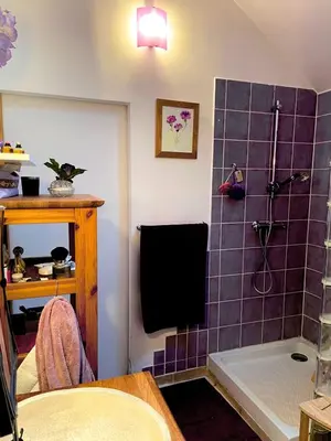 Télévision ou salle de divertissement dans l'établissement Maison de charme d'Ile de France