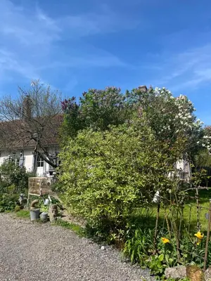 Jardin de l'établissement Chambre cosy