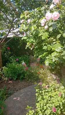 Jardin de l'établissement Chambre de charme
