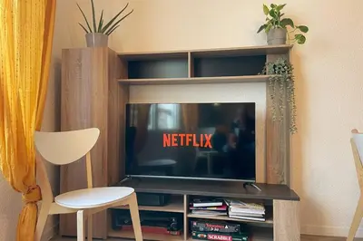Télévision ou salle de divertissement dans l'établissement Rouen Seine - Magnifique appart - Parking gratuit