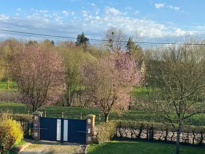 Jardin de l'établissement Simple et sympa