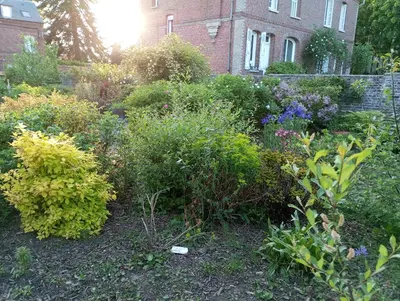 Jardin de l'établissement Maisonnette de Gadag