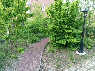 Jardin de l'établissement Maisonnette de Gadag