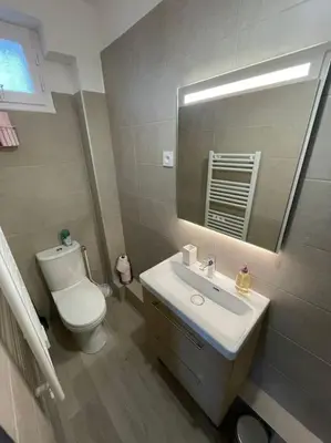 Salle de bains dans l'établissement Appartement 1 chambre proche Gare et Centre Ville