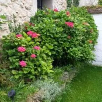 Jardin de l'établissement Le cottage à 40 min de Paris