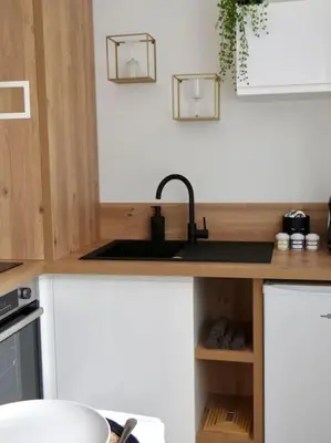 Cuisine ou kitchenette dans l'établissement Le Blum Studio *Hyper-Centre* avec *CANAL PLUS*