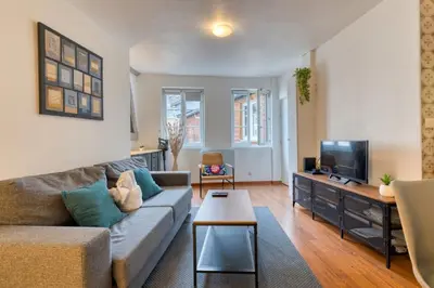Télévision ou salle de divertissement dans l'établissement Daisy Un charmant appartement près de la Place du Vieux Marché