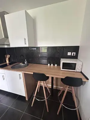 Cuisine ou kitchenette dans l'établissement appartement ILLUSION