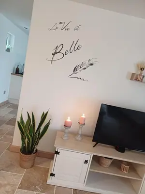 Télévision ou salle de divertissement dans l'établissement LOVE ESCAPADE