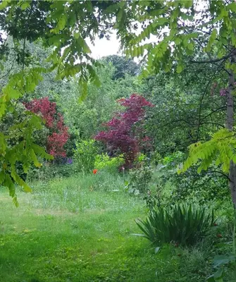 Jardin de l'établissement French countryside near Paris!