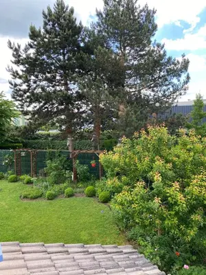 Jardin de l'établissement Studio privé dans pavillon