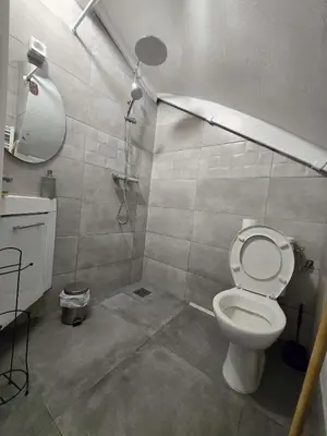 Salle de bains dans l'établissement 2 Studio Cosy Wifi a Meulan