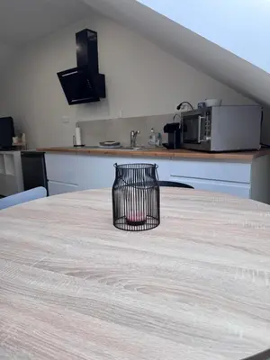 Cuisine ou kitchenette dans l'établissement Studio agréable proche CHU