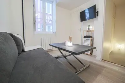 Télévision ou salle de divertissement dans l'établissement Charmant appartement en duplex au coeur de Rouen