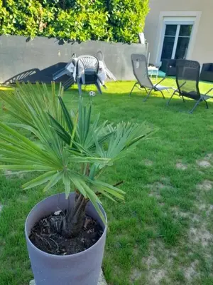 Jardin de l'établissement Family House