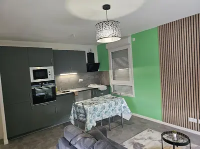 Cuisine ou kitchenette dans l'établissement grand appartement 2 pièces en résidence