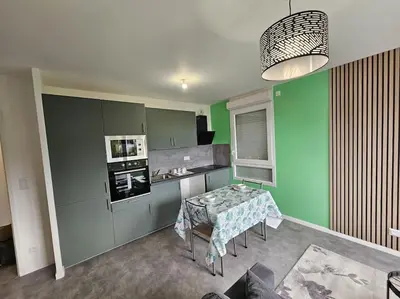 Cuisine ou kitchenette dans l'établissement grand appartement 2 pièces en résidence