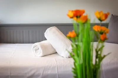 Un ou plusieurs lits dans un hébergement de l'établissement Rollin appartement 3 personnes avec Netflix au calme !