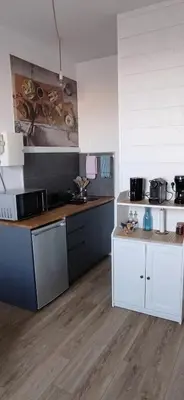 Cuisine ou kitchenette dans l'établissement HUBLOT Studio vue port