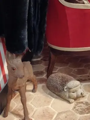 Animal ou animaux domestique(s) séjournant avec des clients dans l'établissement Les Petites Suites Dieppoises - La Tanière du Loup