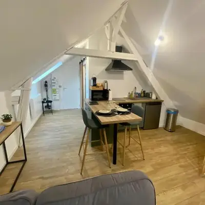 Chaleureux studio hyper centre