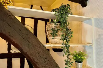 Plan de l'établissement Vera Studio Confortable sous les combles !