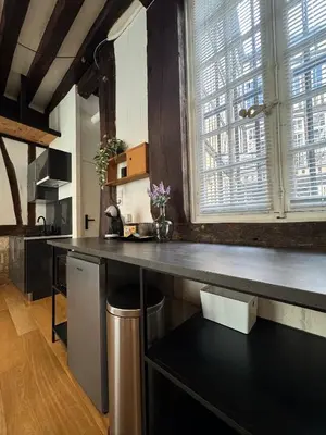 Cuisine ou kitchenette dans l'établissement Appartement cosy et charme - 347