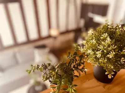 Coin salon dans l'établissement Appartement cosy et charme - 347