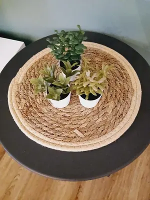Nourriture dans l'appartement ou à proximité