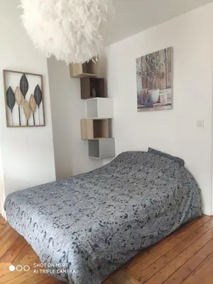 Un ou plusieurs lits dans un hébergement de l'établissement Chaleureux T2 au style VINTAGE - rue gratuite