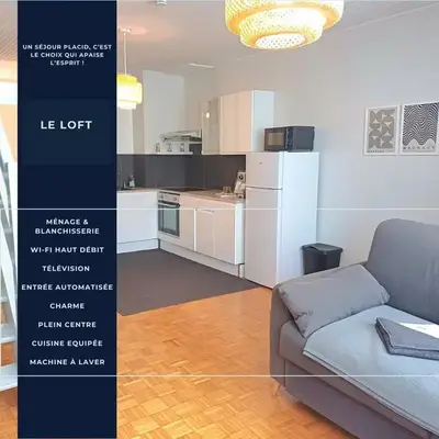 Le Loft - En Plein Centre Très Spacieux