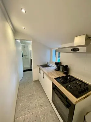 Cuisine ou kitchenette dans l'établissement Appartement rénover avec terrasse