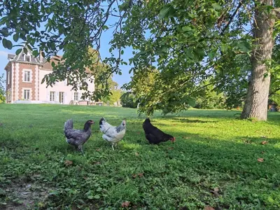 Animaux dans l'appartement ou à proximité