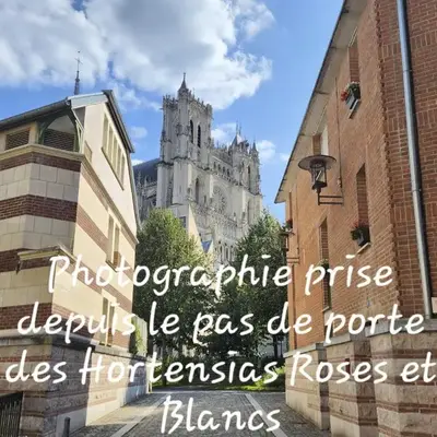 Les Hortensias Blancs Studio
