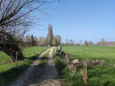 Paysage naturel près de la maison de vacances