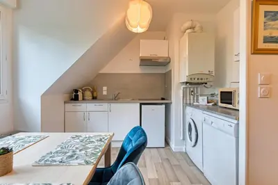 Cuisine ou kitchenette dans l'établissement Solent joli F2 proche Jardin des Plantes à Rouen