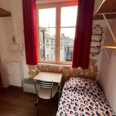 Petit nid ensoleillé