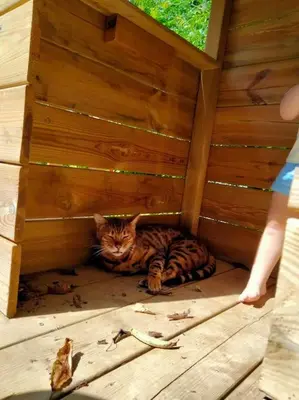 Animal ou animaux domestique(s) séjournant avec des clients dans l'établissement Le cinq, au coeur du Vexin
