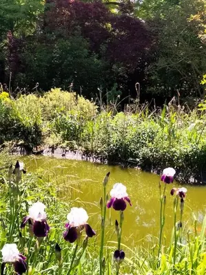 Jardin de l'établissement Le cinq, au coeur du Vexin